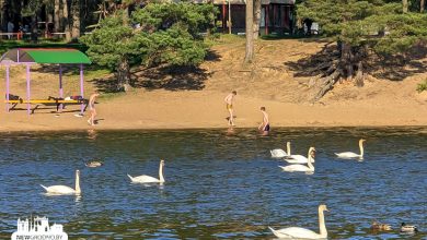 Сезон отдыха стартовал в Гродно