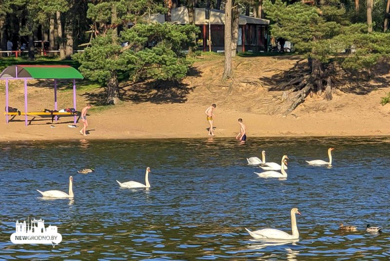 погода в Гродно