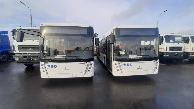 белорусские автобусы 