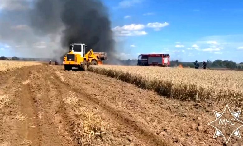 спасатели тушили поле с зерновыми