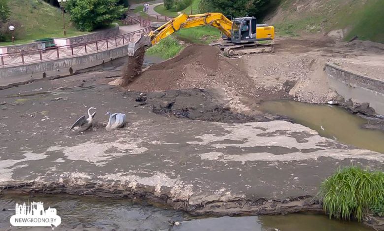 В Гродно начали чистить пруд в Швейцарской долине