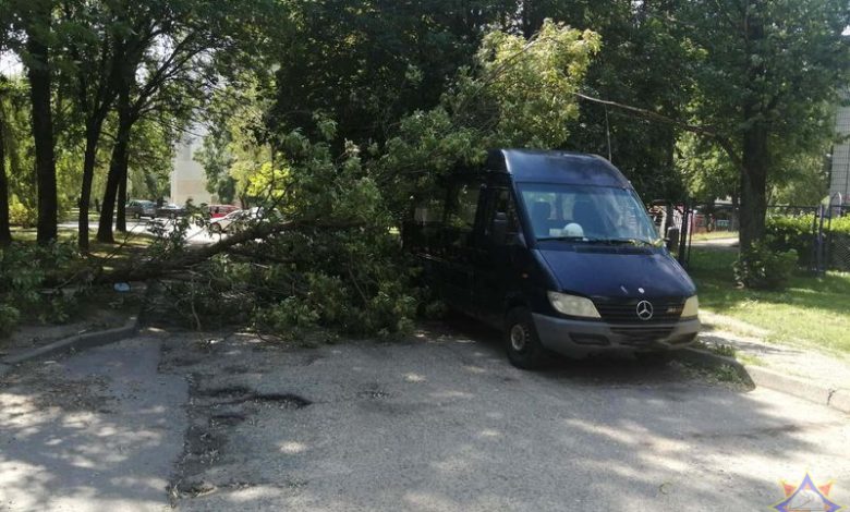 спасатели убирали упавшие деревья
