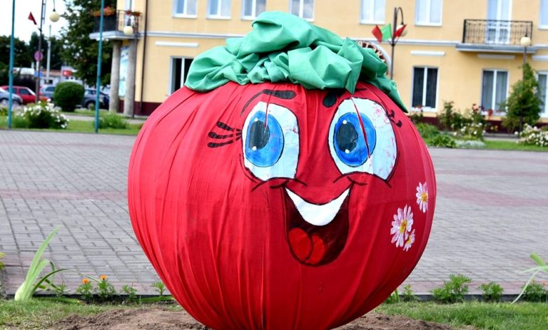 Праздник помидора