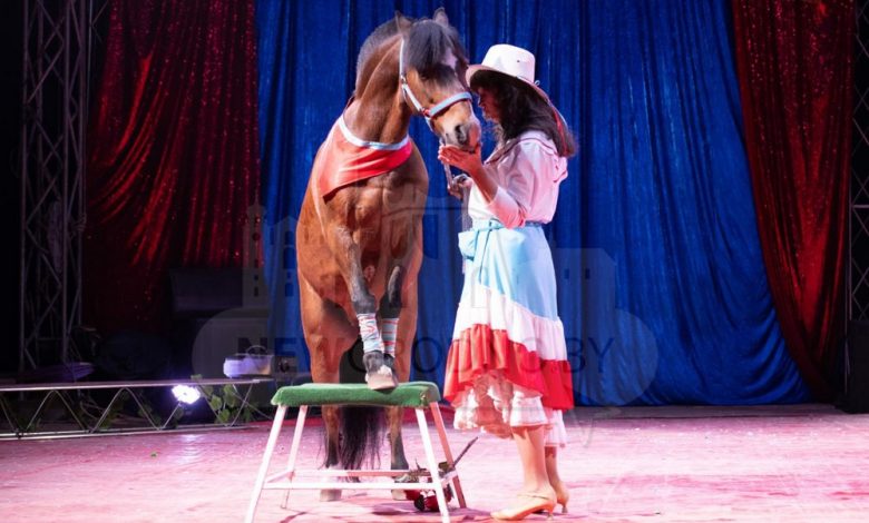 В Гродно приезжает цирк