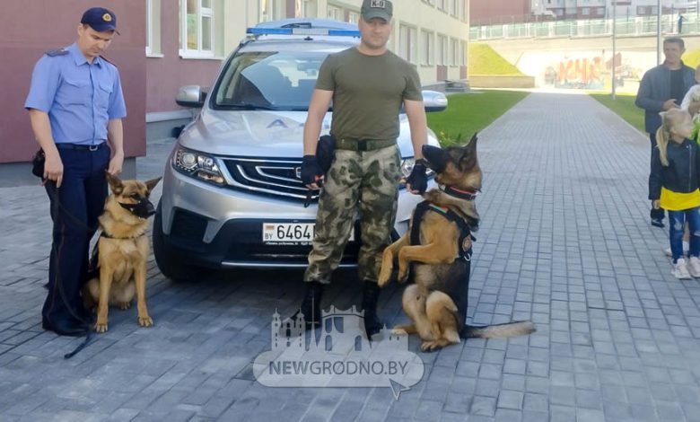 Много милиционеров с собаками