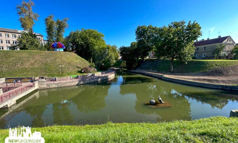 Пруд с лебедями