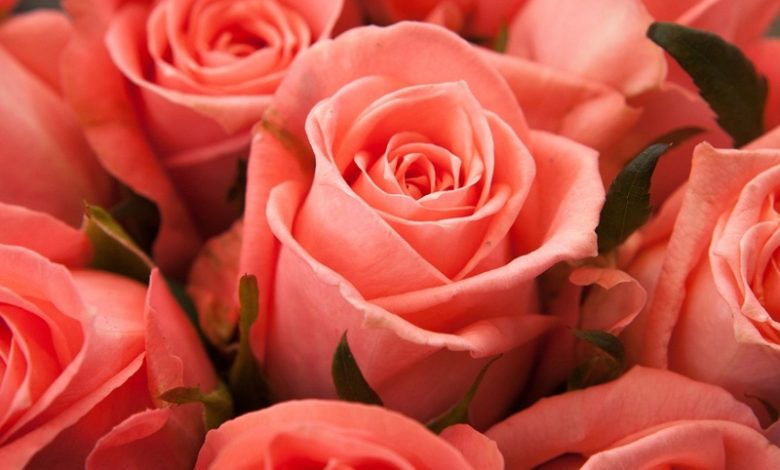 Гродненец получил уголовку