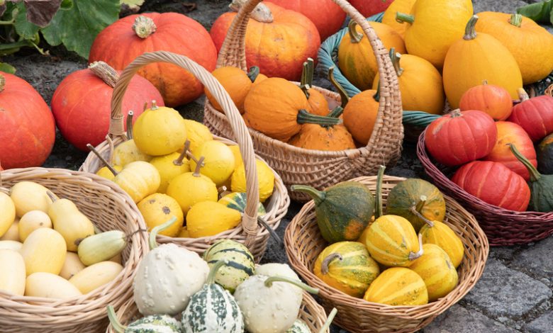 сельскохозяйственных ярмарок