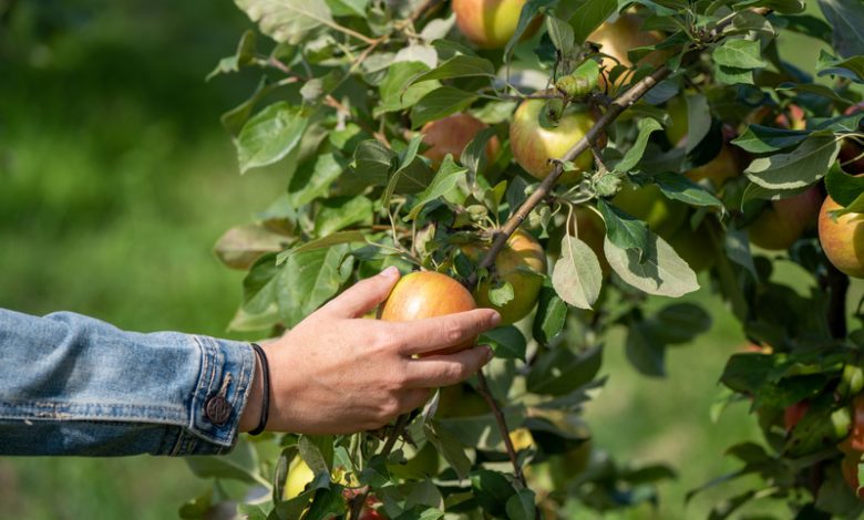 подработать в свободное время?