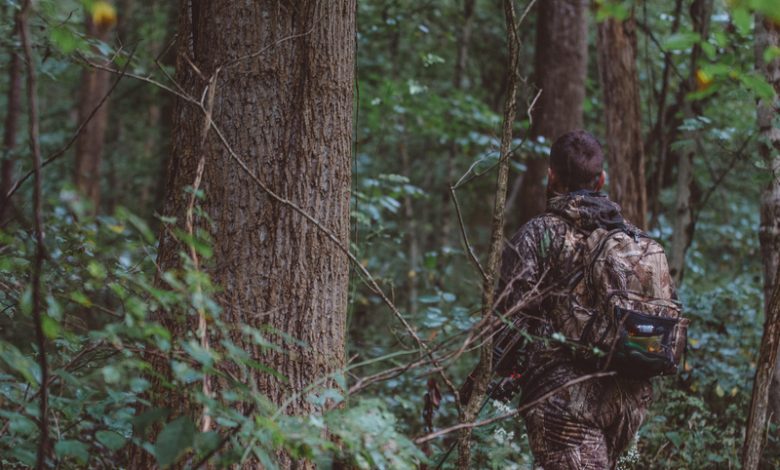 о начале загонной охоты