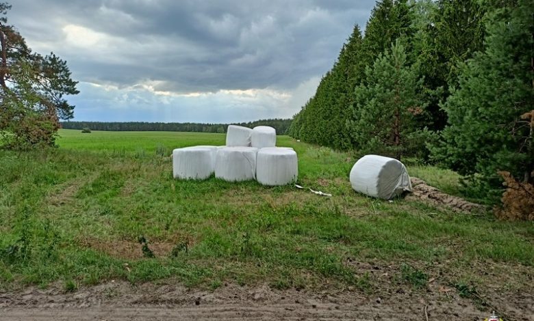 похитители рулонов