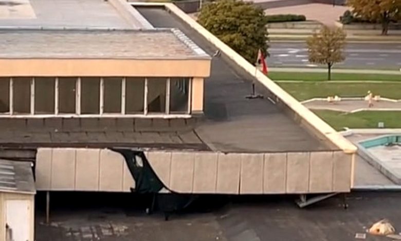 В Гродно пушистую гостью