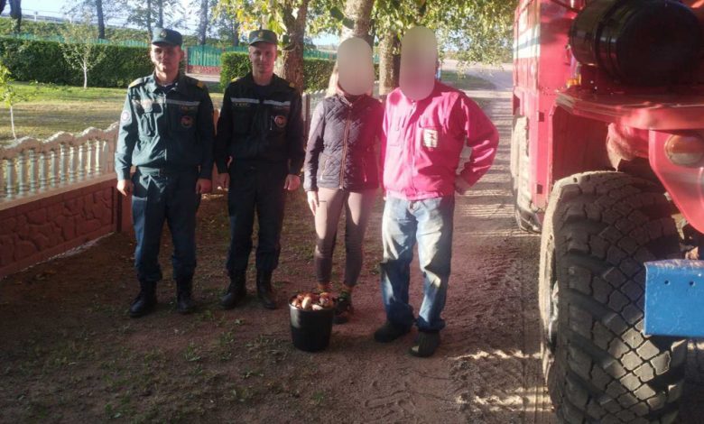 как искали грибника в Налибокской пуще