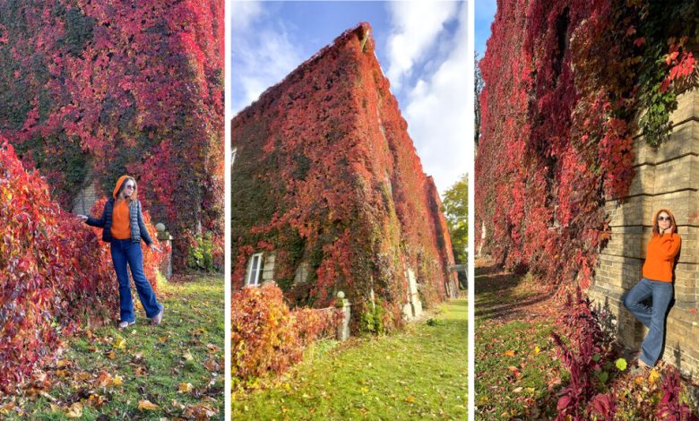 осенних фотосессий в Беларуси