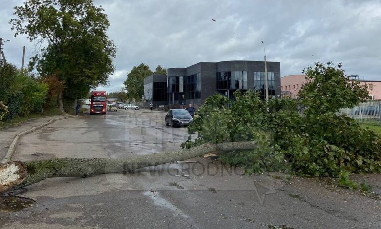 В субботу в Гродно хулиганил ветер