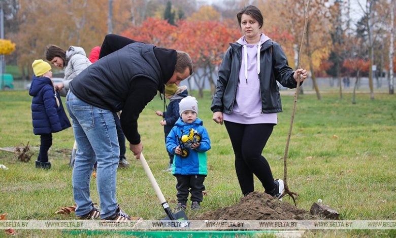 В Гродно появится парк семейных деревьев