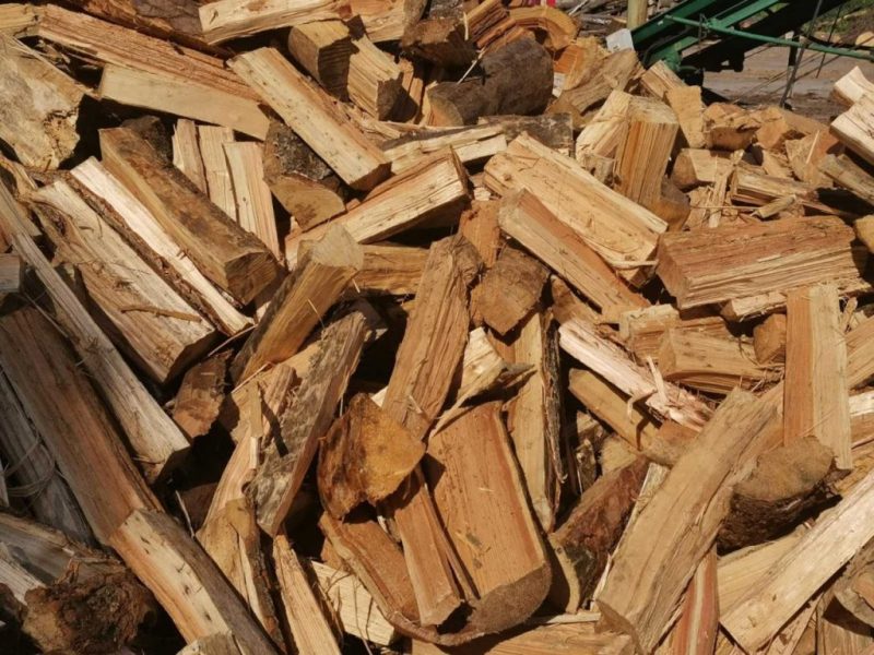 Рассказываем, можно ли белорусам приносить дрова из леса
