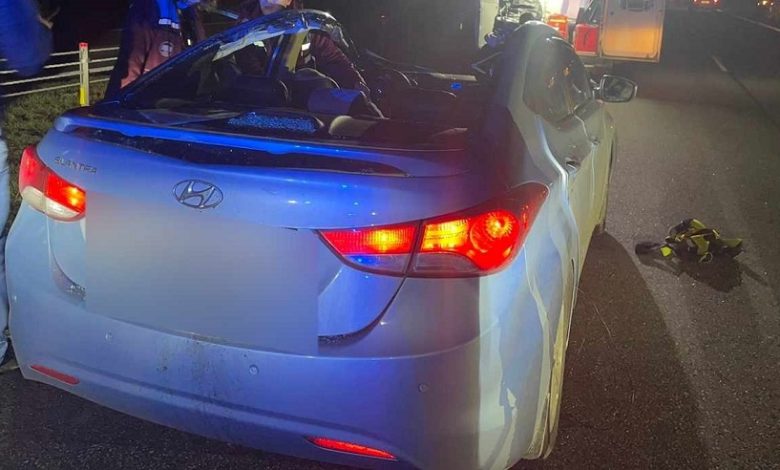 Под Минском выбежавший на дорогу лось