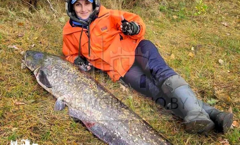 Рыбачка из Гродно поймала огромного сома