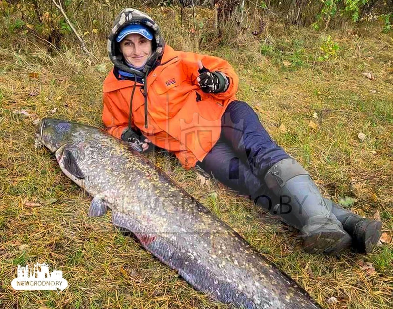 Рыбачка из Гродно поймала огромного сома