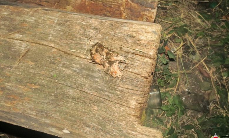 В Гродно мужчина подавился куском мяса и умер