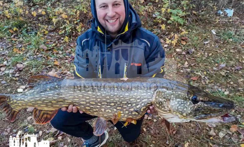 В Гродно рыбак поймал щуку длиной более метра!