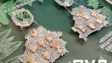 В Беларуси за трофеи на охоте будут вручать специальные знаки