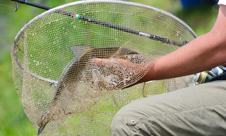 Под Гродно поймали очень наглого браконьера