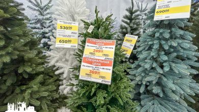 В магазинах Гродно уже стартовал сезон новогодней торговли