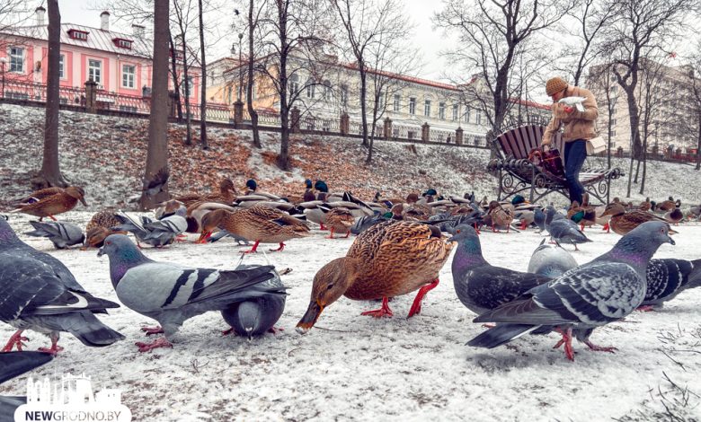 "новогодний" налог