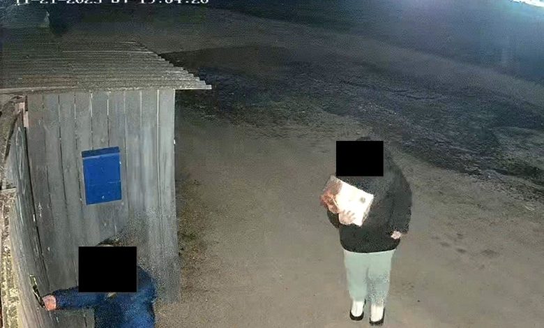 Помните историю про щенков