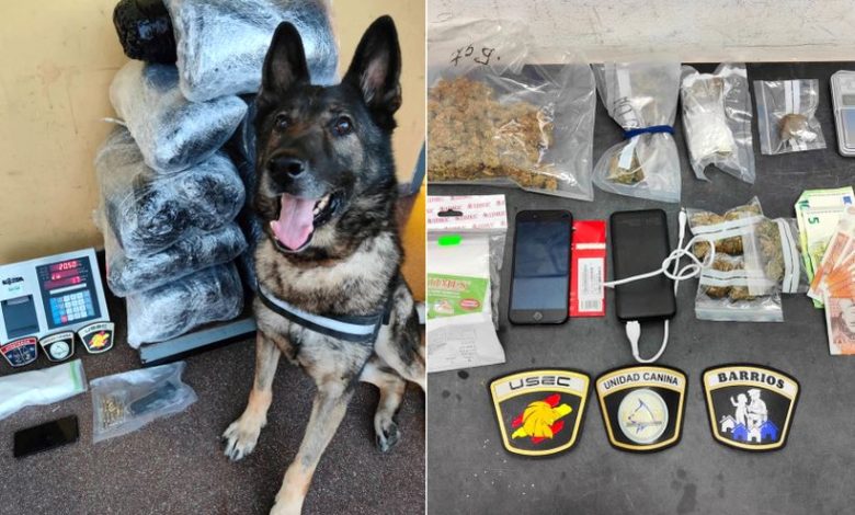 В Испании собака унюхала "тайник" белоруса