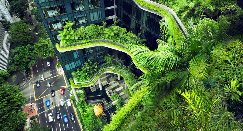 В Сингапуре запустили грандиозный проект по озеленению города