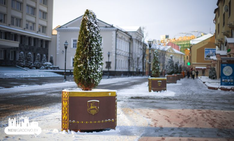 Гродно в воскресенье засыпало снегом