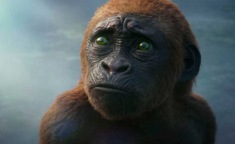 Хотите узнать, откуда взялись Годзилла и Конг?