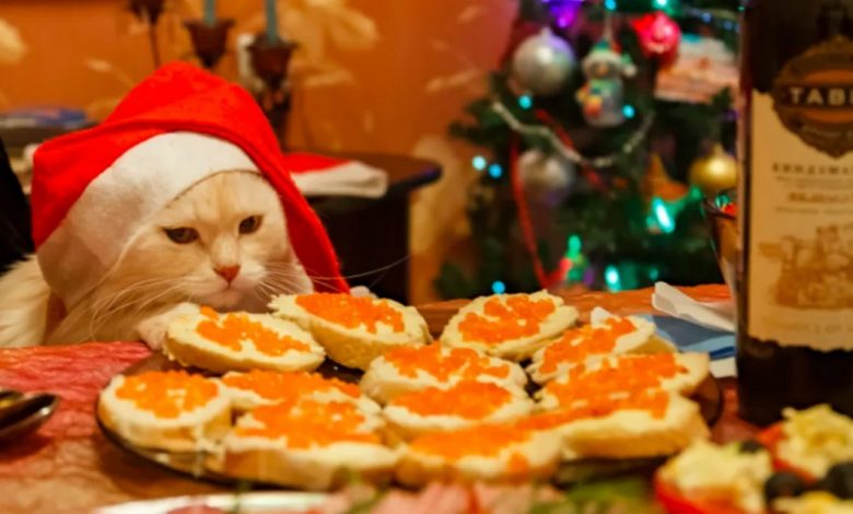 Рассказываем, как правильно переходить на праздничное настроение