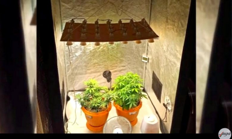 В одной из квартир в Лиде нашли хорошо оснащенную нарколабораторию