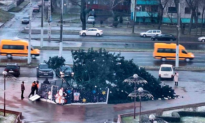 В Бресте ветер опрокинул новогоднюю ель