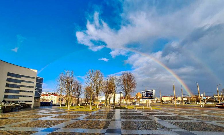 Рождественский сюрприз