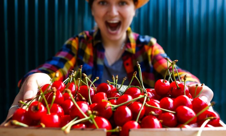 Стоимость черешни и клубники к Новогоднему столу может шокировать м