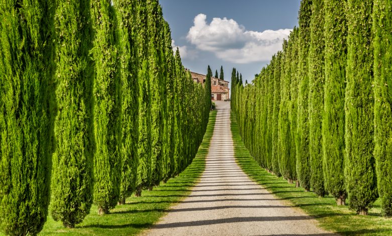 В Беларуси владельцы половины агроусадеб пока не прошли перерегистрацию