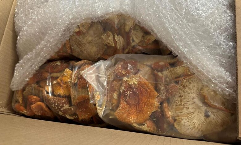 Из Беларуси в Литву кто-то отправил 200 кг мухоморов