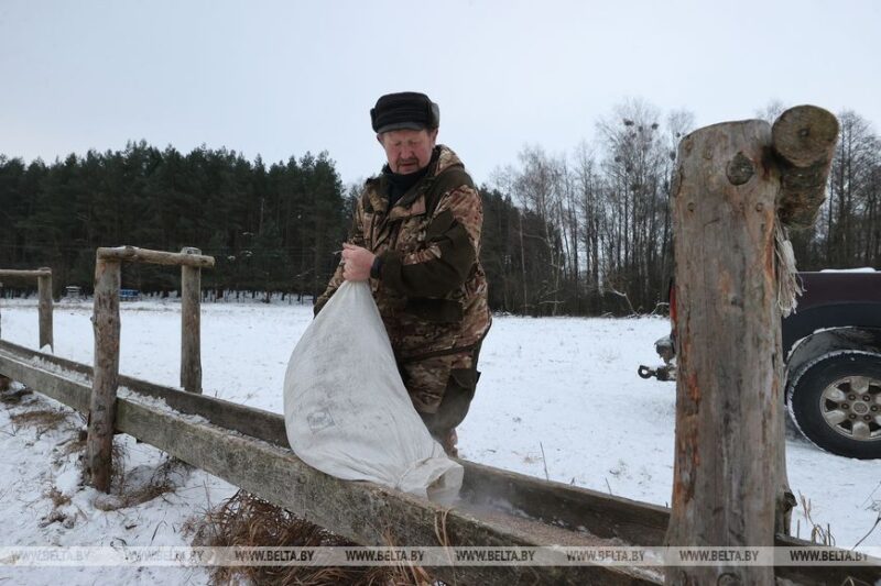 Как в Гродненской области