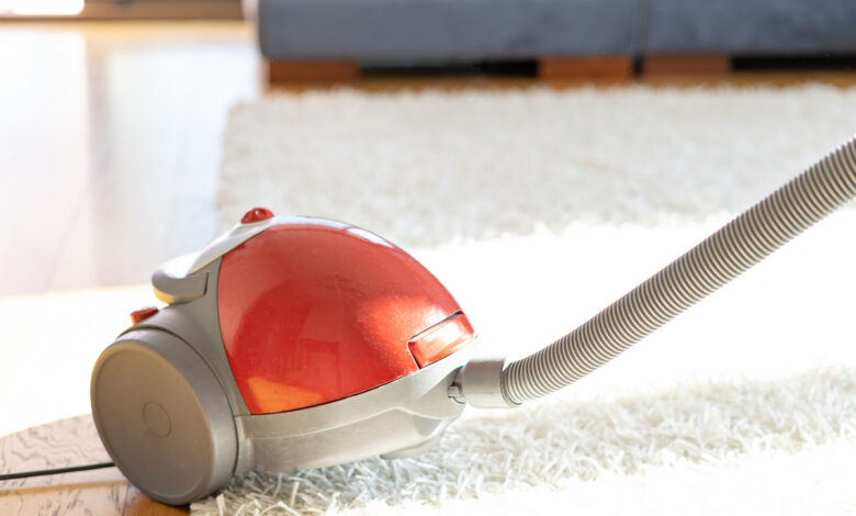 В таможне рассказали, как правильно ввозить из-за границы б/у пылесос