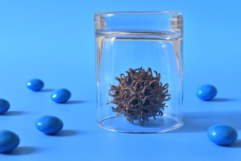 Признаки гриппа. Какой сейчас вирус ходит форум. Какой сейчас вирус ходит форум. Штаммы гриппа. Какой сейчас вирус ходит форум.