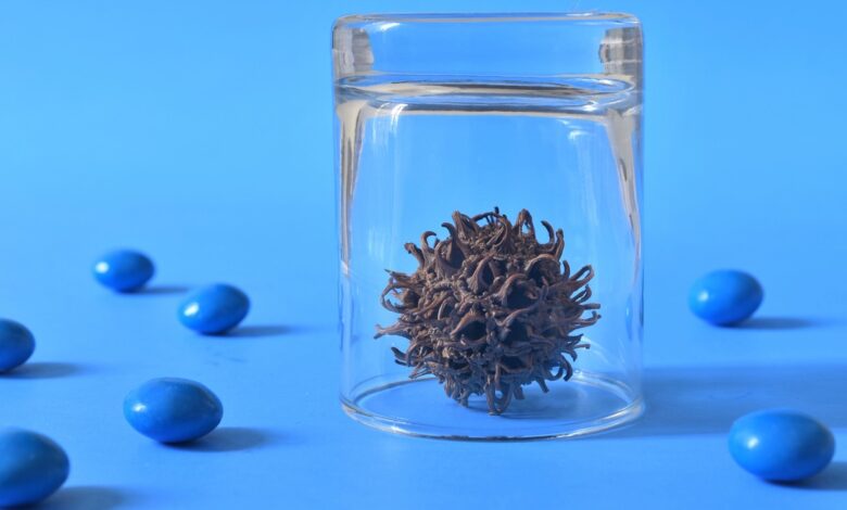 Какие вирусы сейчас ходят по Беларуси?