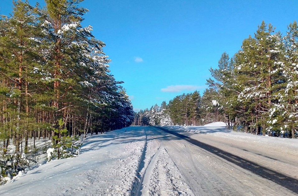 Лесникам поручили убрать хлам вдоль дорог