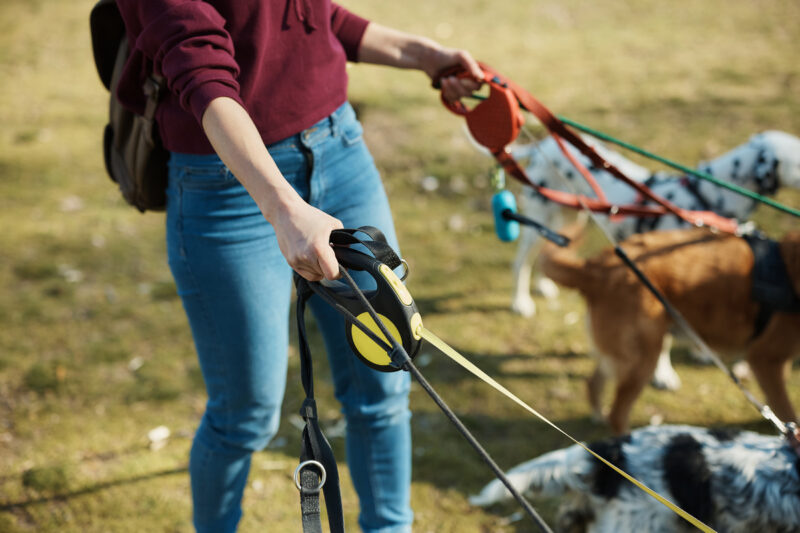 белорусских детей будут обучать