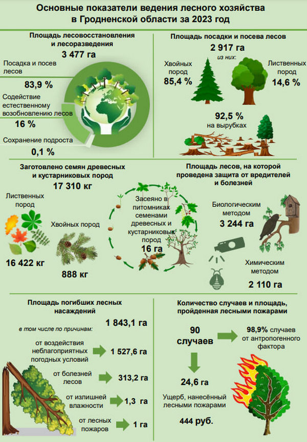 В Гродненской области за прошлый год высадили почти 3 тыс. га нового леса