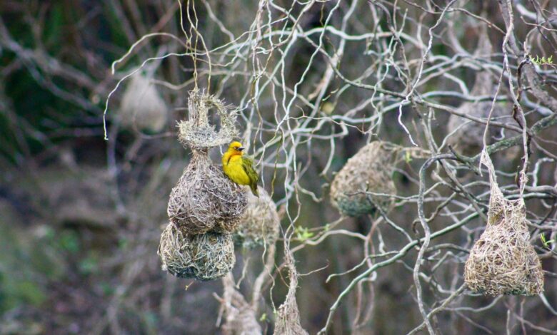 Охрана природы напоминает